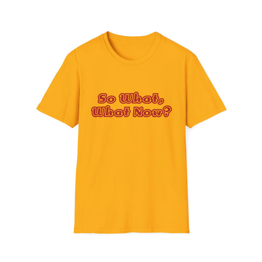 So What, What Now? Tee
